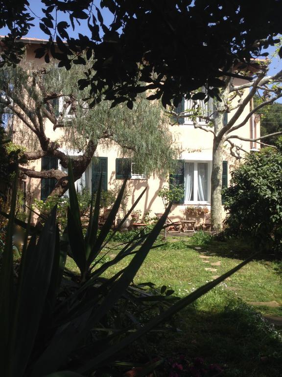 Villa Pretorina Cannes Exterior foto